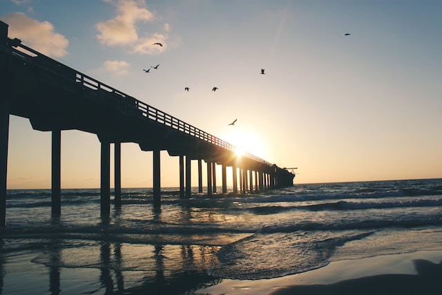 PKS Council on Aging Meeting Minutes – January 2023